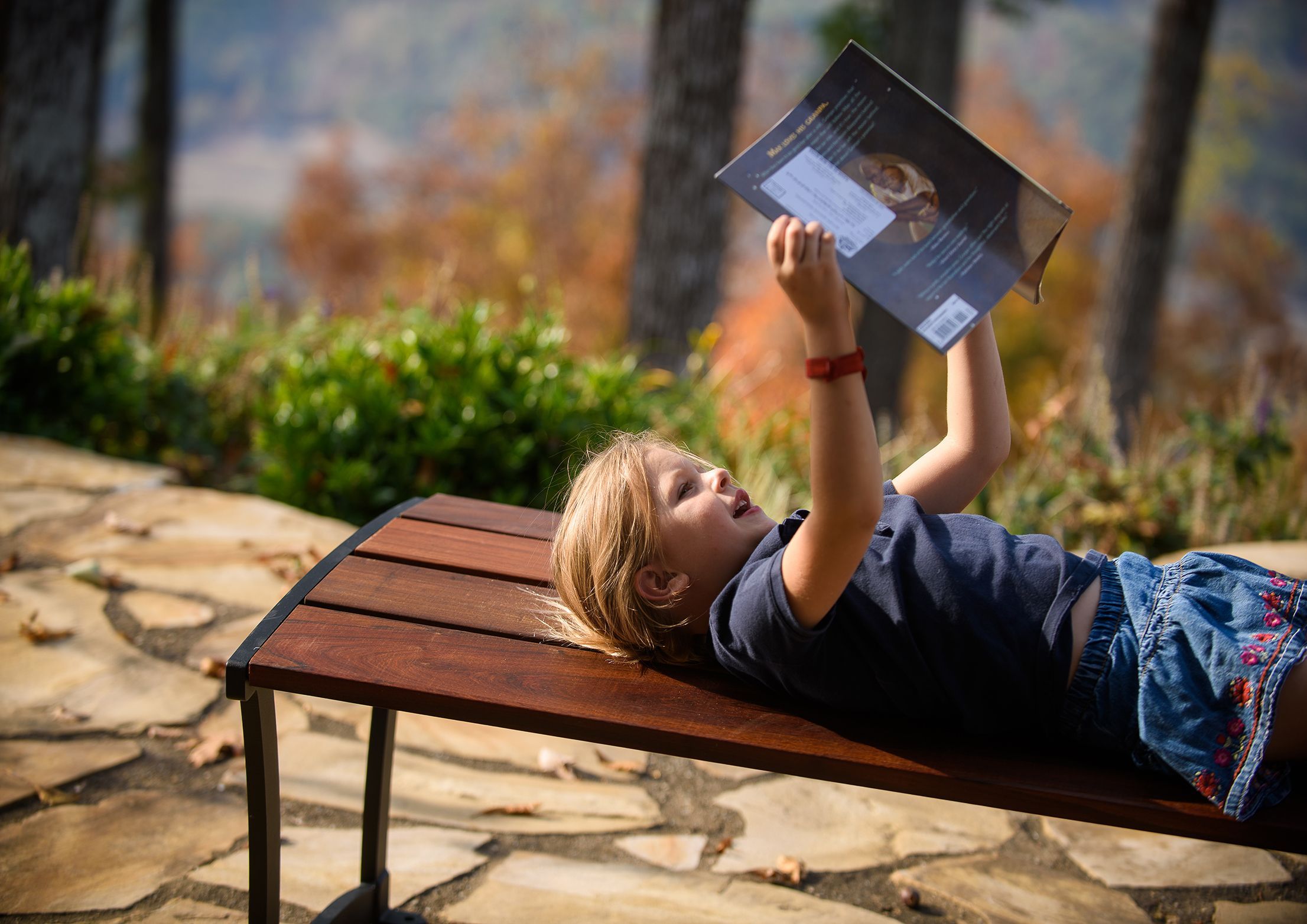 Madison Bench without Back - Ipe Wood