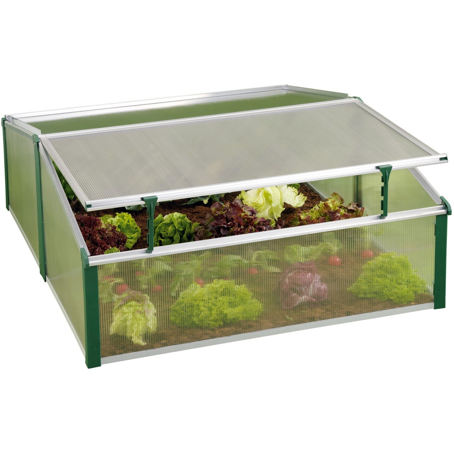 Easy-Fix Double Cold Frame