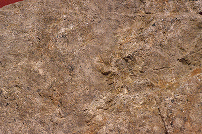 Modular Climbing Panel