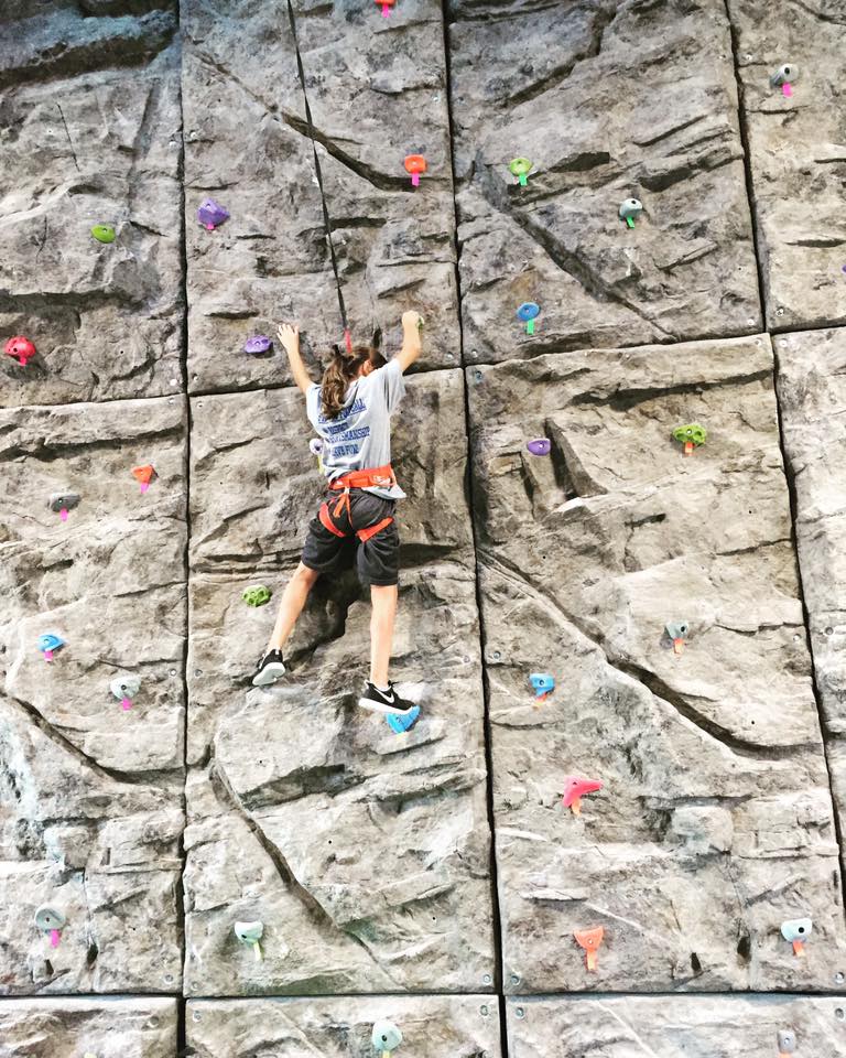 Modular Climbing Panel