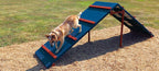Dog Park King of the Hill