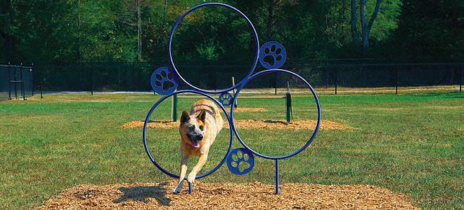 Dog Agility Hoop Jump