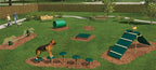 Intermediate Dog Exercise Course - 6 Activities