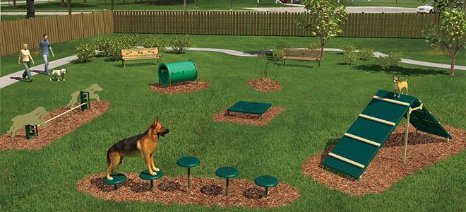Intermediate Dog Exercise Course - 6 Activities