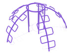 Five-Way Snake Climbing Dome