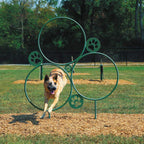 Dog Agility Hoop Jump