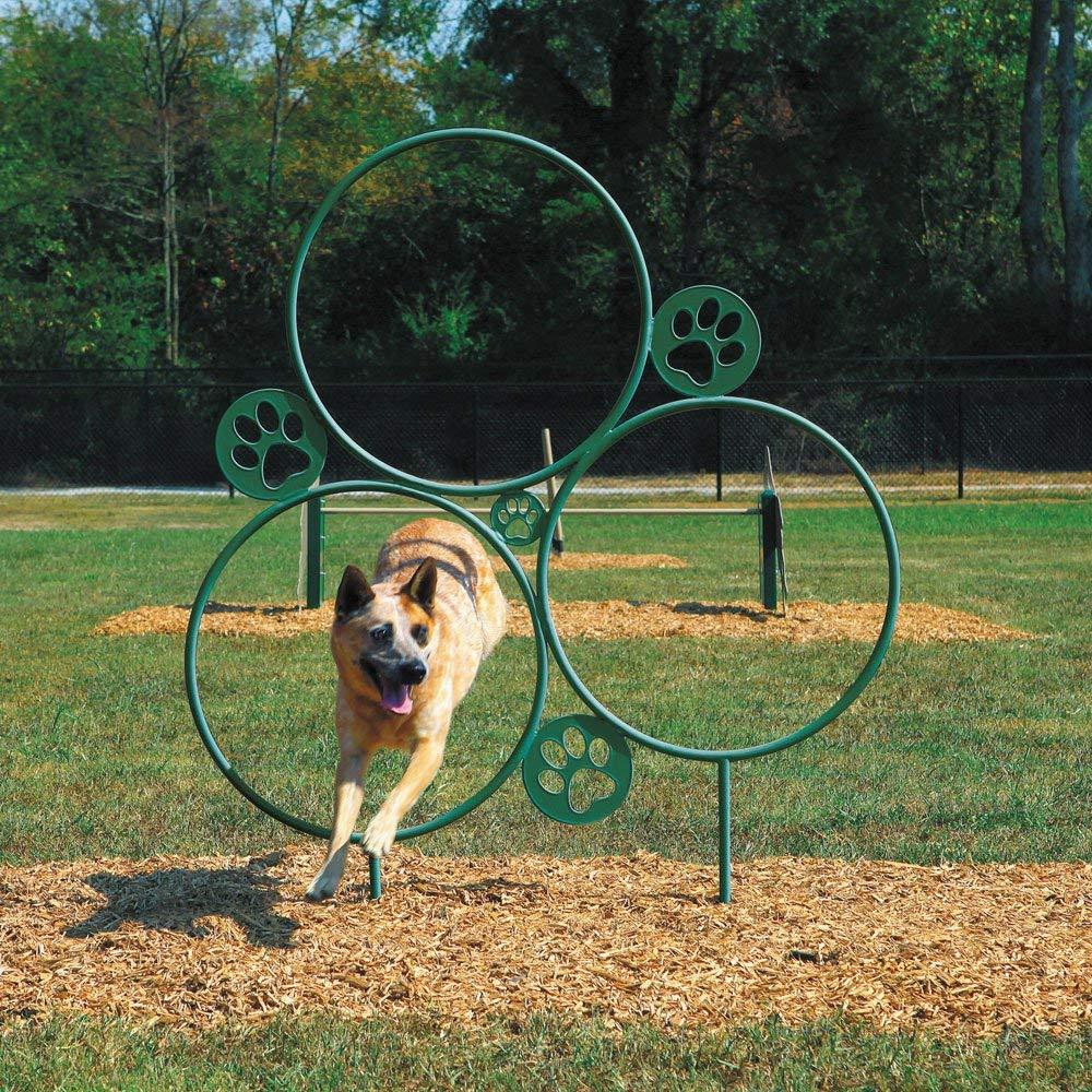 Dog Agility Hoop Jump