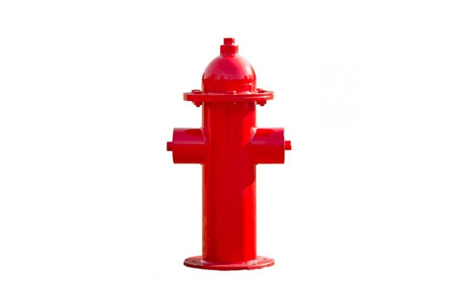 Dog Park Fire Hydrant