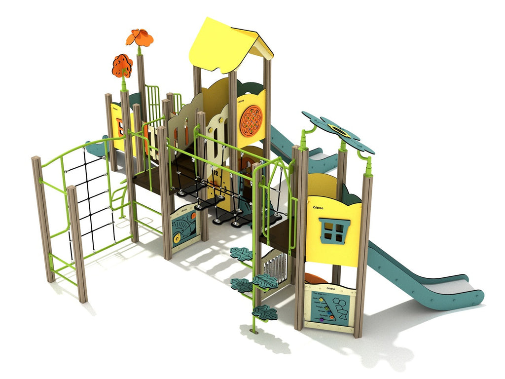 Pecan Hickory Canopy Quest Play Structure