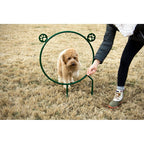 Dog Agility Hoop Jump