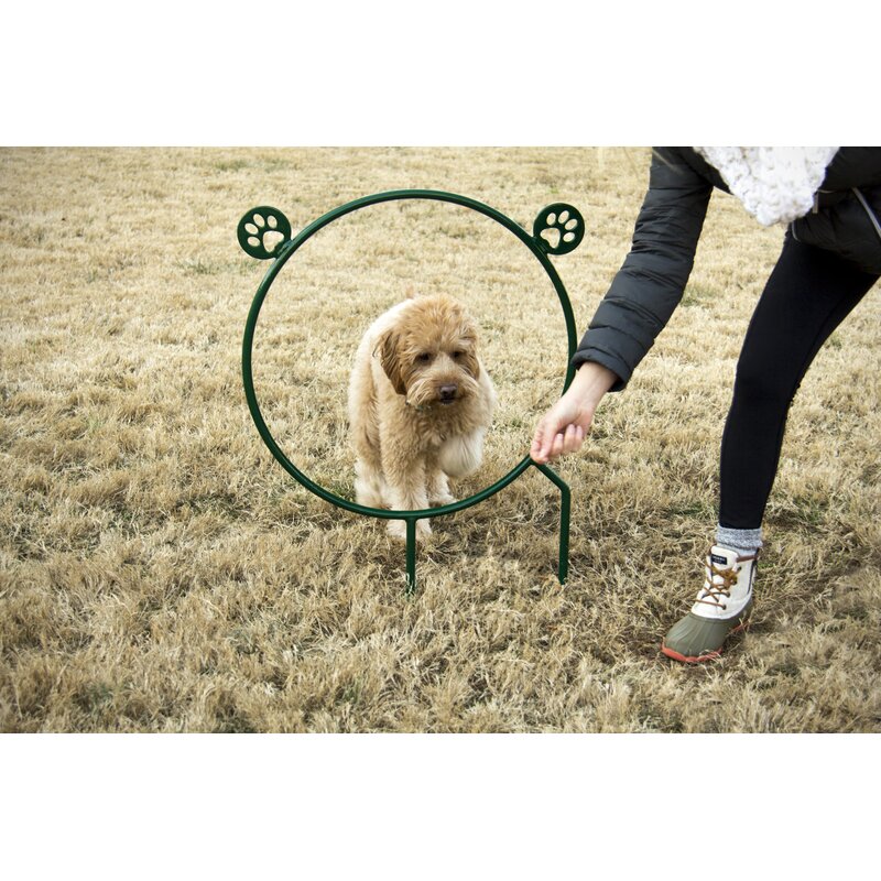 Dog Agility Hoop Jump