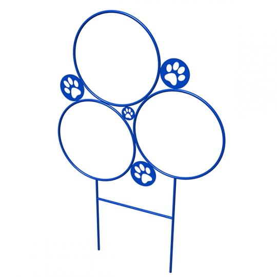 Expert Dog Exercise Course - 9 Activities