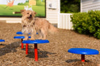 Stepping Paws Dog Exercise Equipment