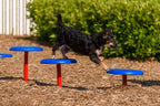 Stepping Paws Dog Exercise Equipment