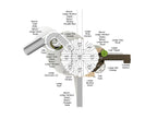 Florida Elm Canopy Quest Play Structure