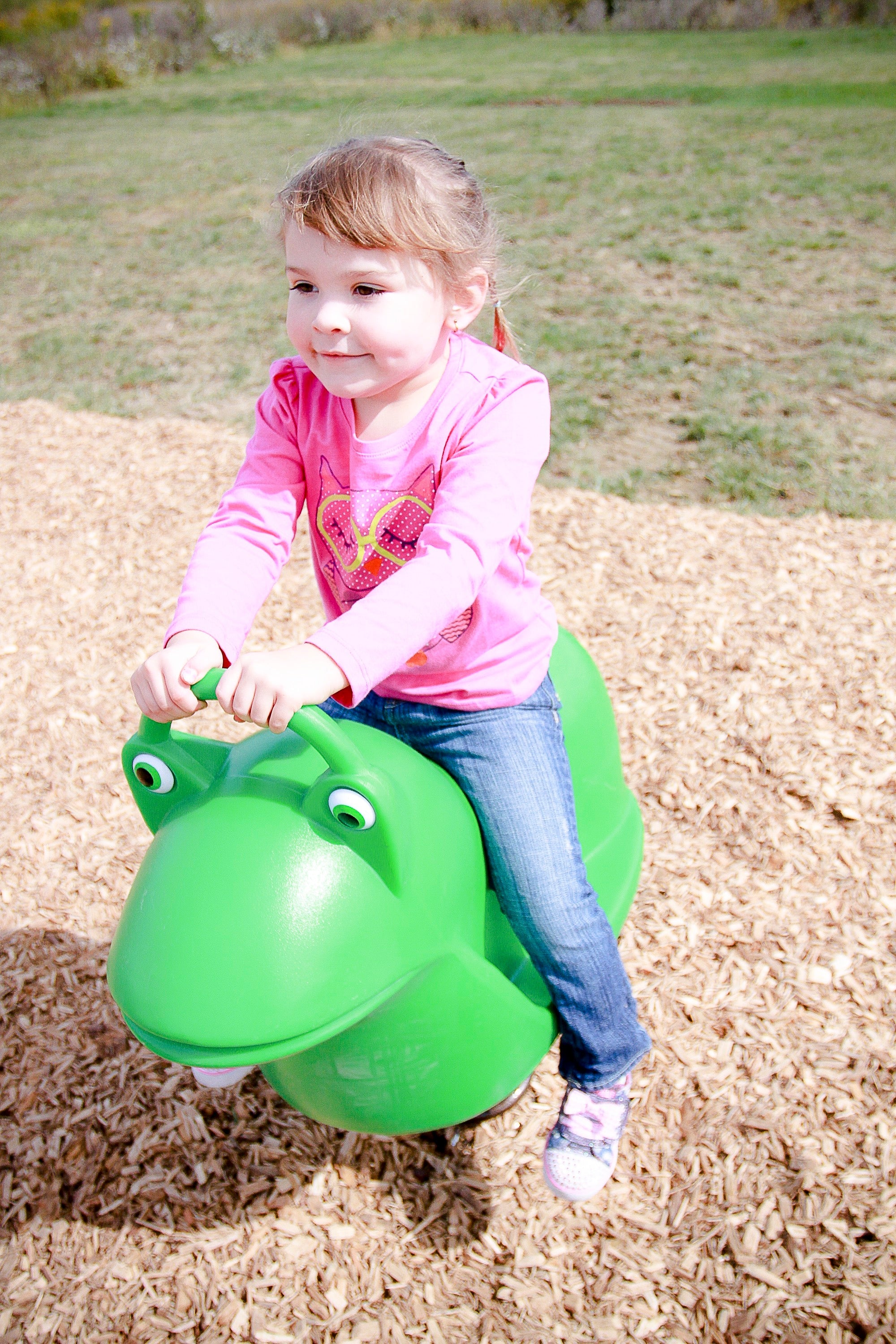 Filbert Frog Fun Bouncer