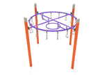 Single Post Circle Overhead Swinging Ring Ladder