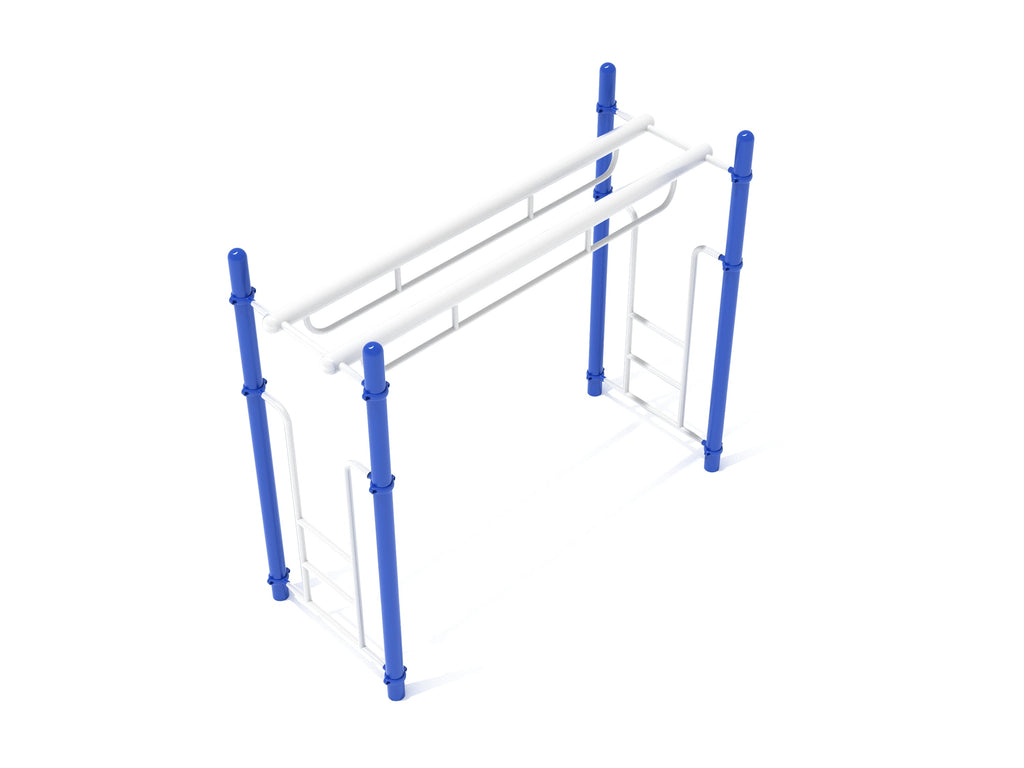Double Parallel Bar Ladder