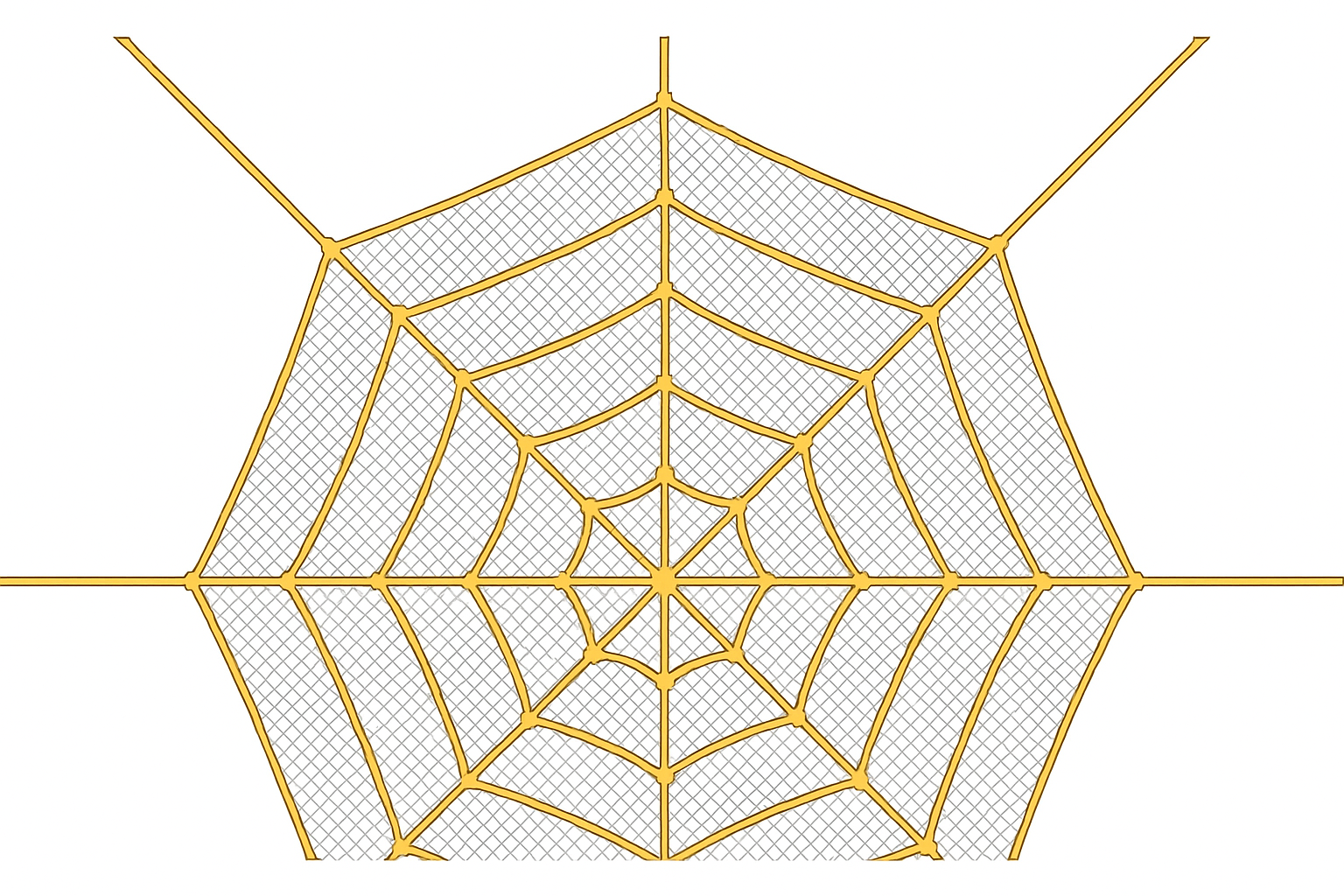 Spider Web Net