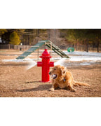 Dog Park Fire Hydrant
