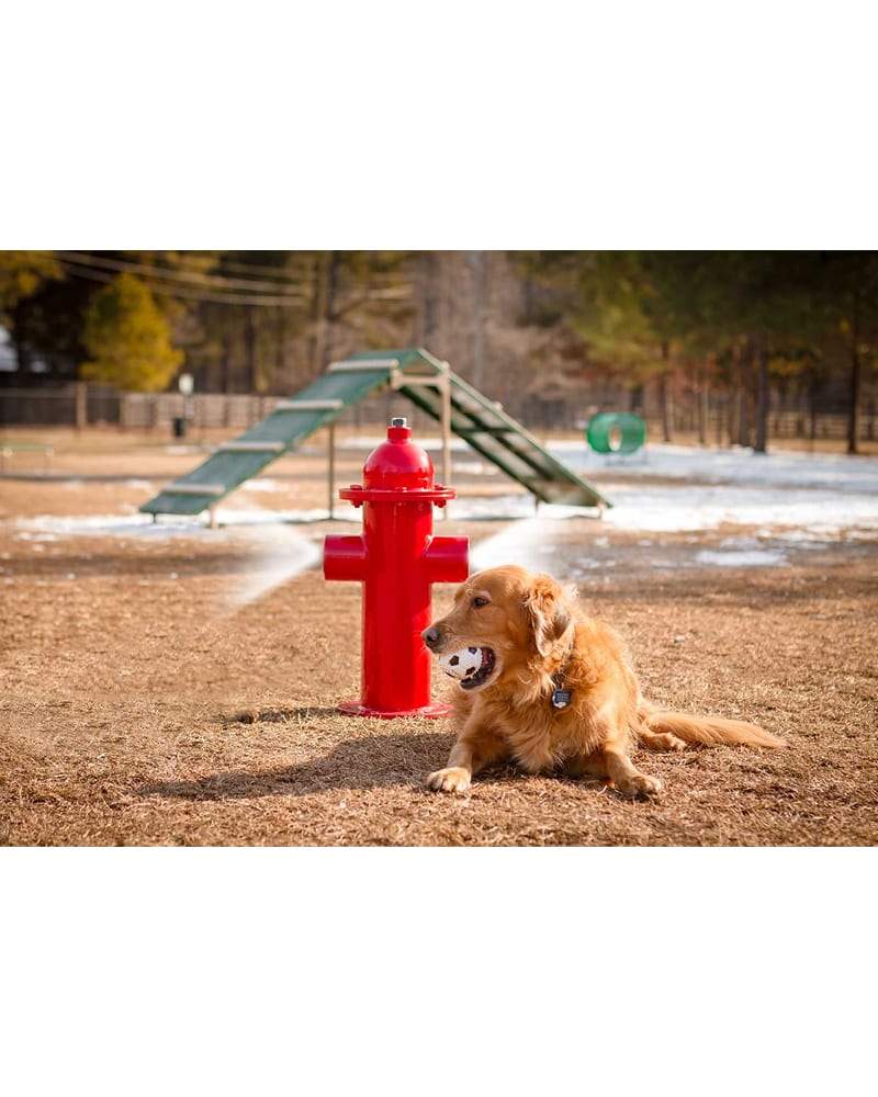 Dog Park Fire Hydrant
