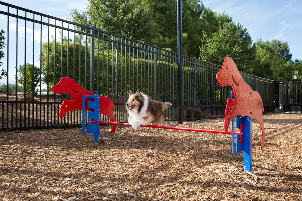 Rover Jump Over Dog Exercise Equipment