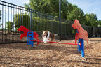 Rover Jump Over Dog Exercise Equipment