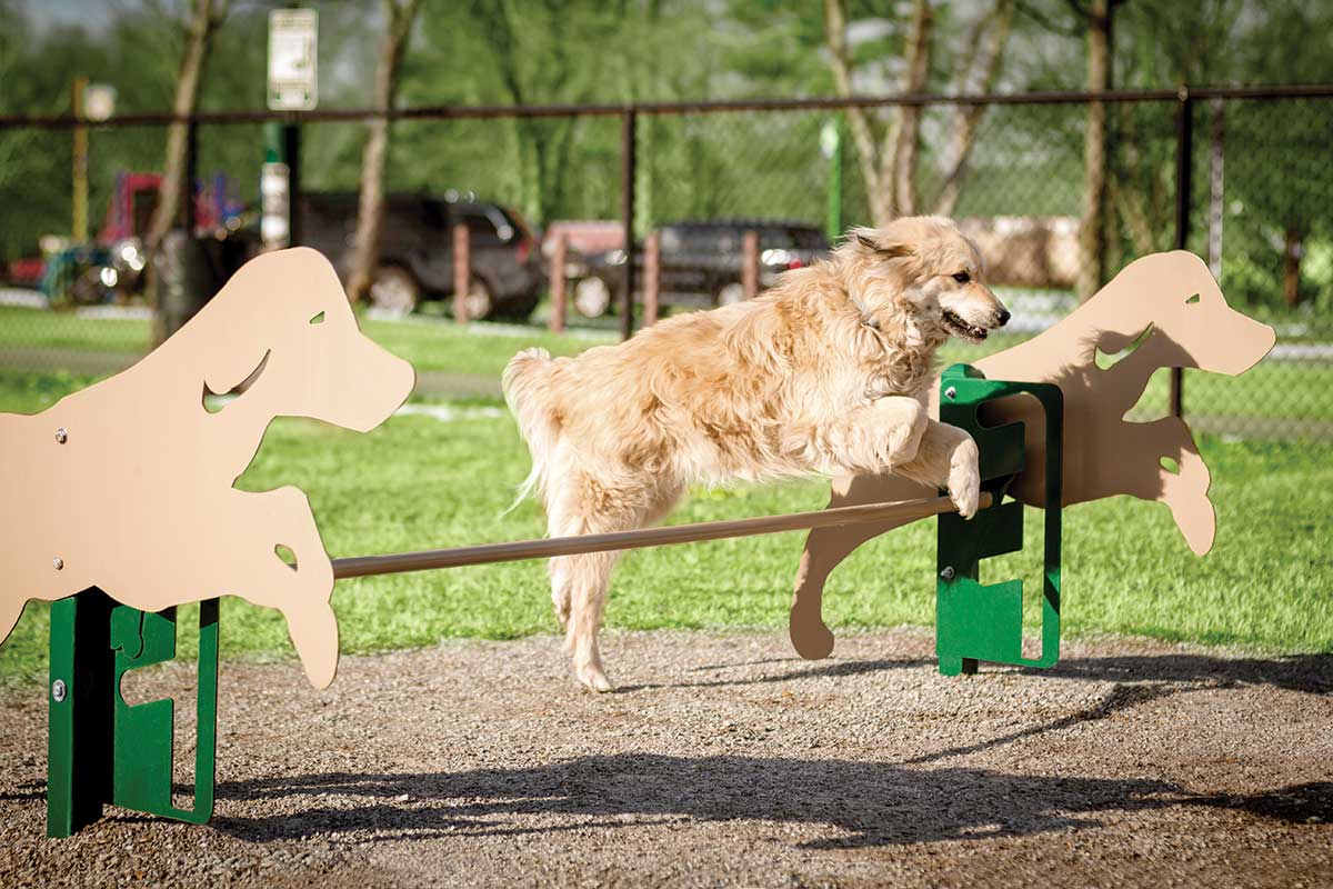 Rover Jump Over Dog Exercise Equipment