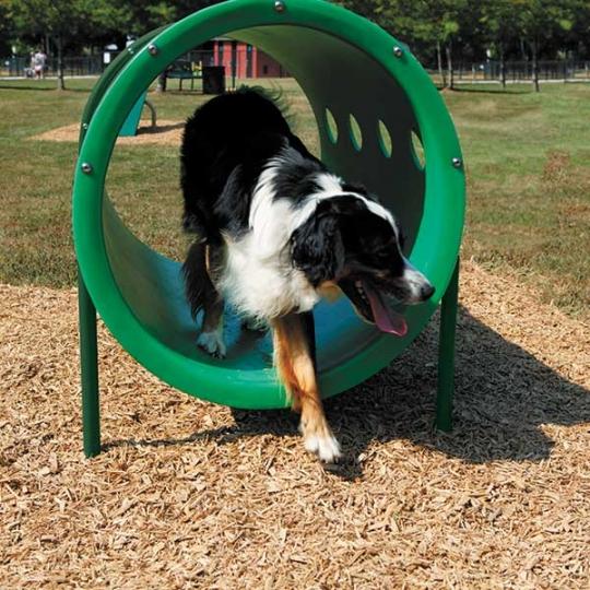 Expert Dog Exercise Course - 9 Activities