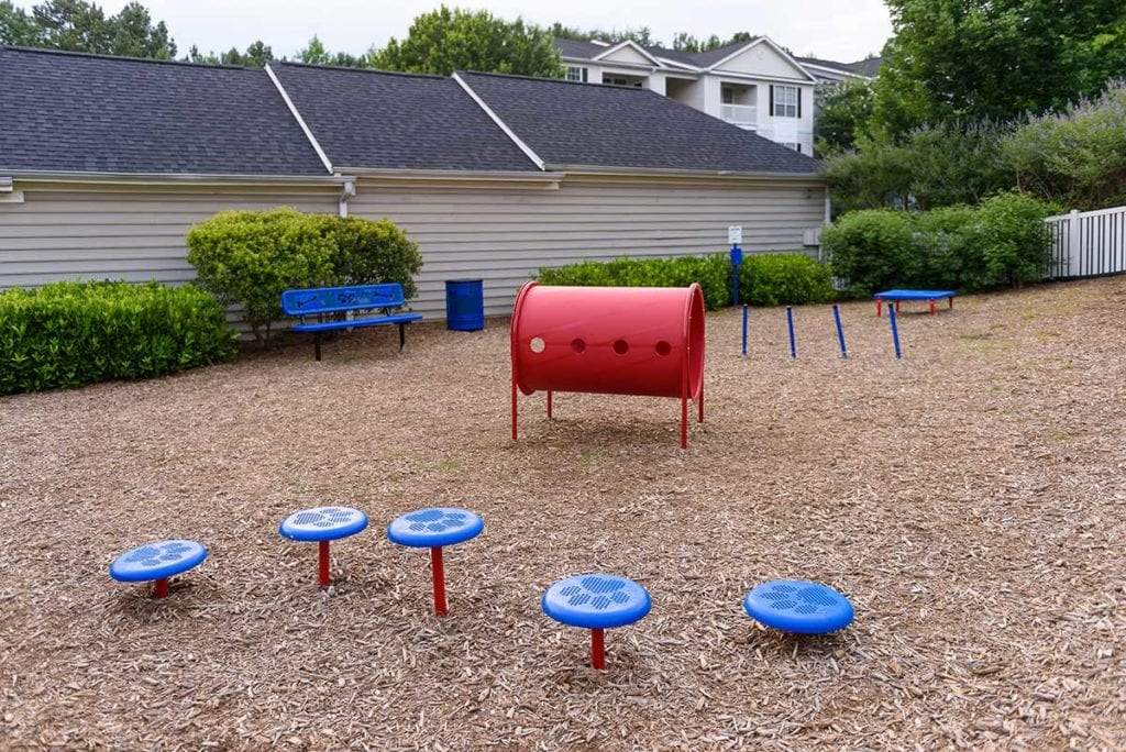 Stepping Paws Dog Exercise Equipment