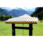 Duet Outdoor Musical Park Instrument - Freenotes Harmony Park