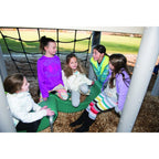 Hickory Play System
