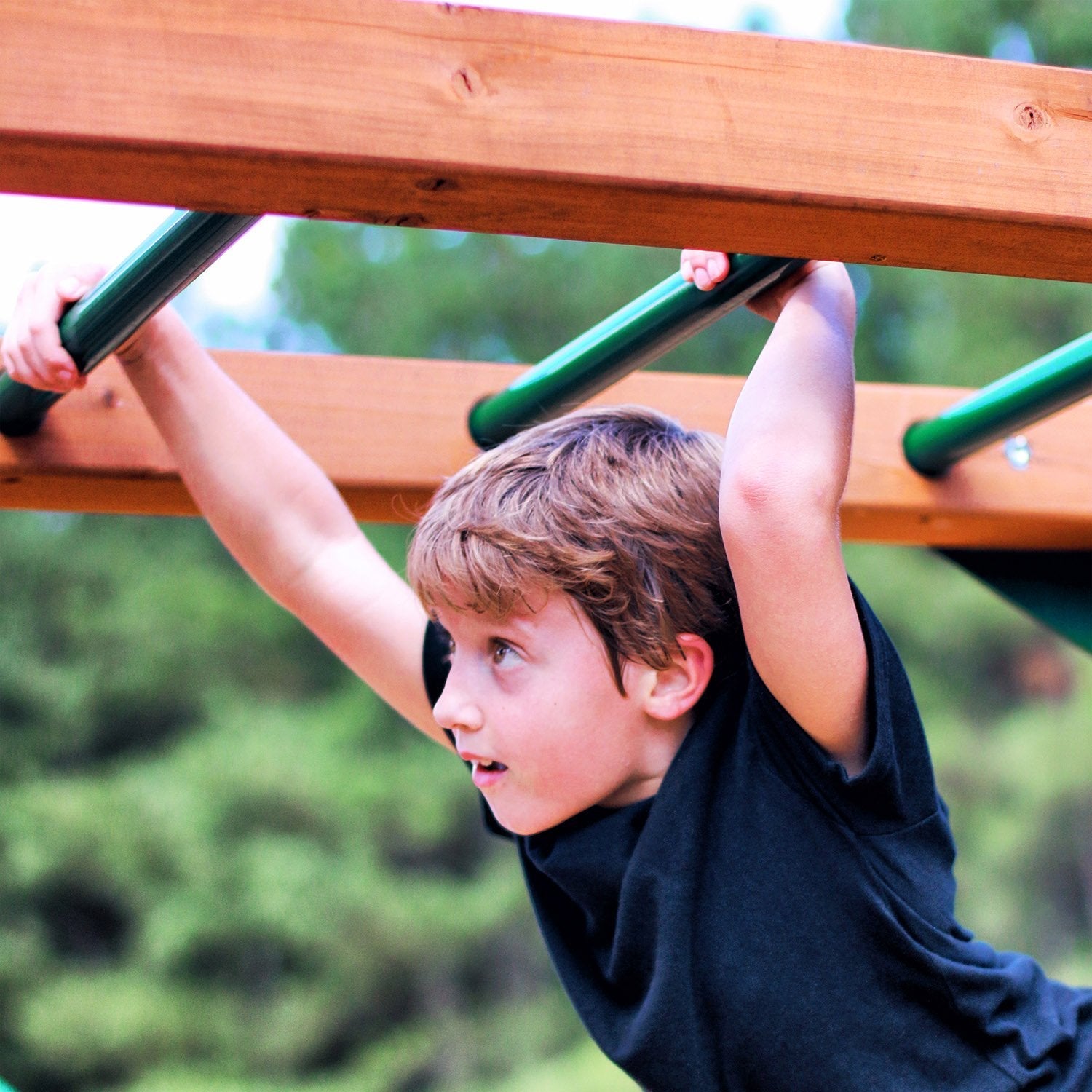Empire AP Wooden Swing Set