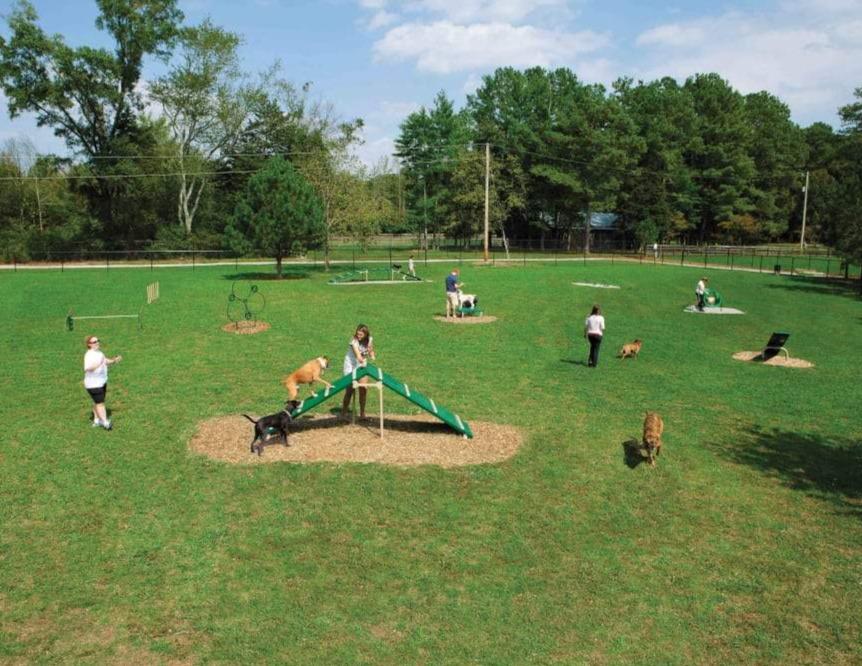 Expert Dog Exercise Course - 9 Activities