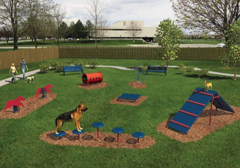 Intermediate Dog Exercise Course - 6 Activities
