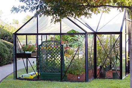 Junior Orangerie Greenhouse