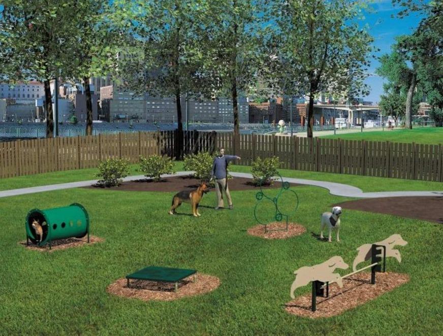 Novice Dog Exercise Course - 4 Activities