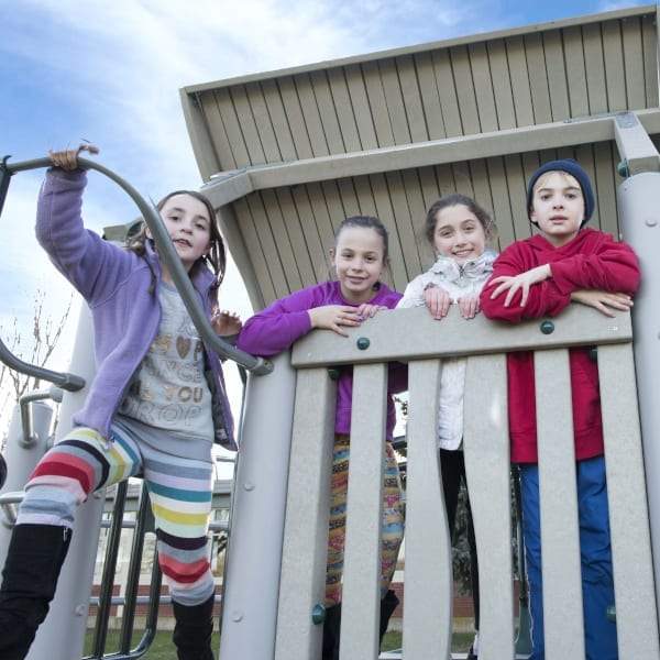Cedar Play System