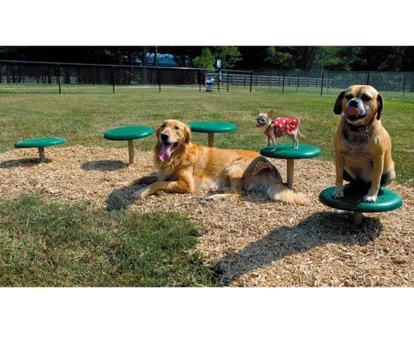 Stepping Paws Dog Exercise Equipment