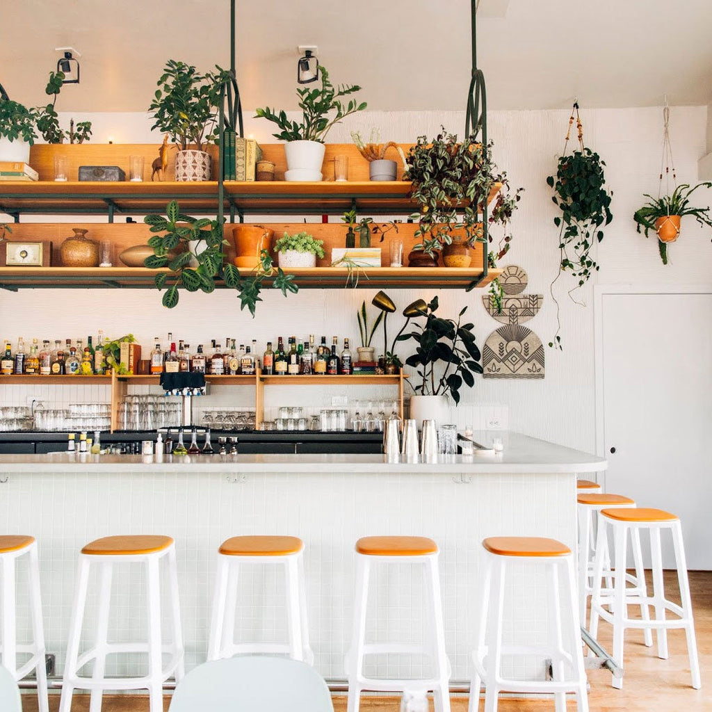 Cadrea Bar and Counter Stool