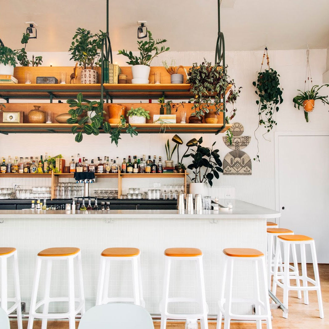 Cadrea Bar and Counter Stool