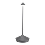 Pina Pro Portable Table Lamp