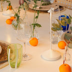 Pina Pro Portable Table Lamp